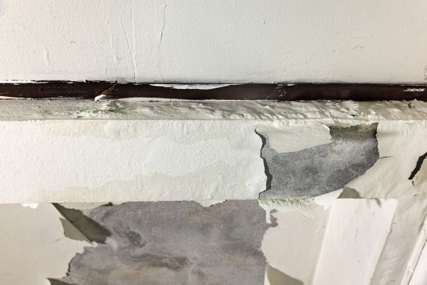 Porch Leak Repair in Issaquah